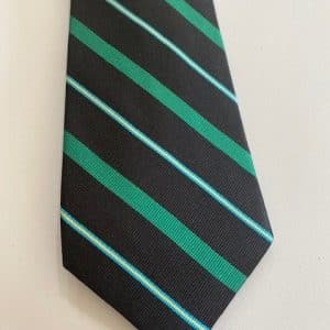 Special Forces Association Regimental Silk Tie