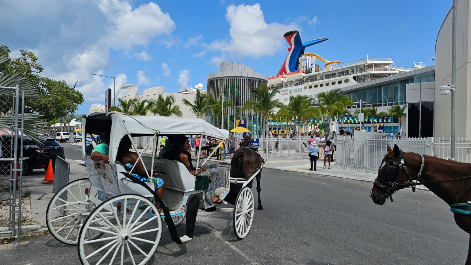Horse-drawn carriage near cruise ship terminal with palm trees